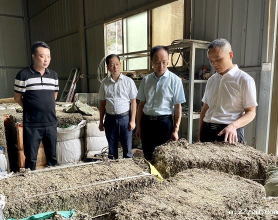 1661822409781328.jpg 何友军一行在艾草厂察看艾草原料加工情况(693415)-20220830091859.jpg