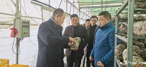 佛坪县政协调研食用菌产业发展(185428)-20210120102934.png