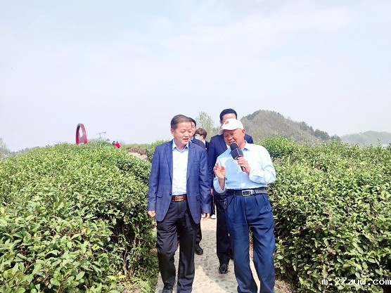 市政协党组副书记周建功一行赴平利县调研(532777)-20220316081346.jpg