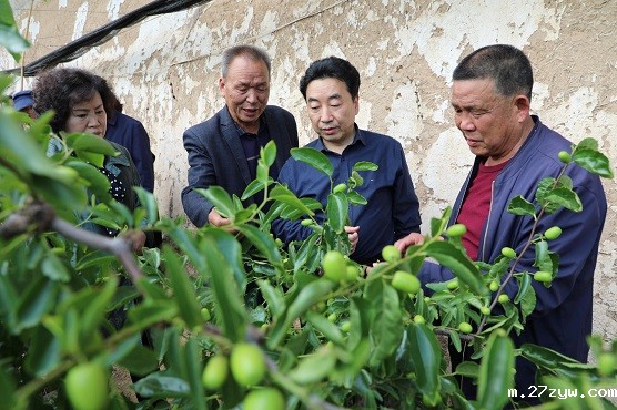 2020年4月，27zyw副主席、民进陕西省(621465)-20220621084032.jpg