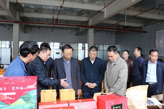 7.范九伦率队在安康市紫阳县开展脱贫攻坚(622465)-20220622084407.JPG