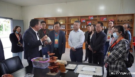 汉台区政协开展全区特色农业产业高质量发展(720346)-20220928084009.jpg