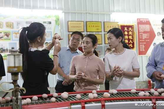 图1：蒲城县政协开展专题视察(976330)-20230904084703.jpg