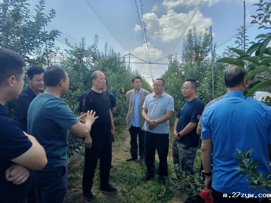 图1：宝塔区政协调研委员工作室暨农业产业(983584)-20230913084919.jpg
