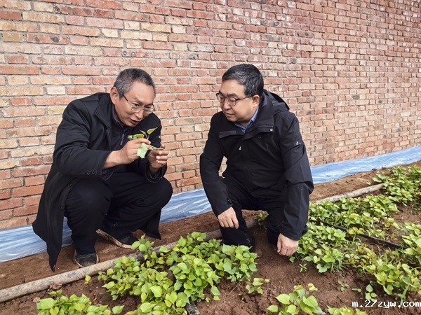 1740617475110591.jpg 倒头条配图(1469787)-20250227085026.jpg