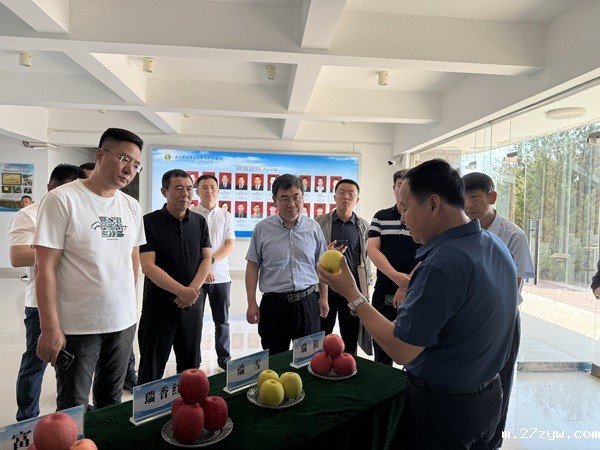 （图片新闻）栖霞市政协在白水开展考察交流(1597987)-20250616084847.jpg