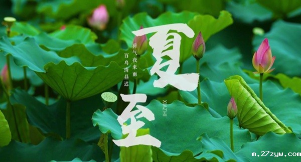 夏至稿件配图(1606589)-20250623090605.jpg