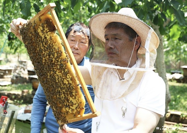 1752449707134728.jpg 张冯斌(右)帮助冯浪民(左)察看蜂箱状况(1630916)-20250714073052.jpg