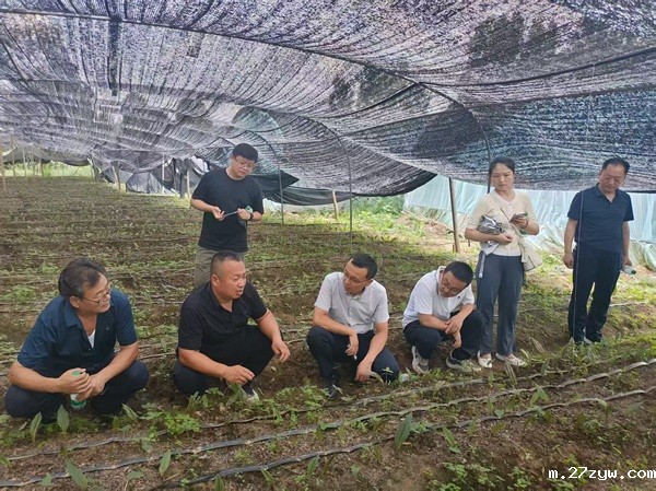 1757985225308839.jpg 张平:从土地里“种”出乡村振兴新希望_((1696253)-20250916091257.jpg